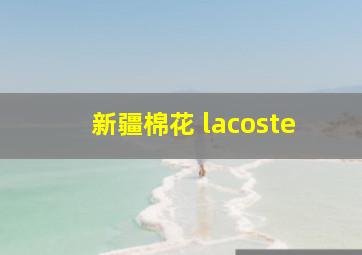 新疆棉花 lacoste